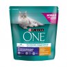 One для домашних стерилизованных кошек и котов (1 кг.)